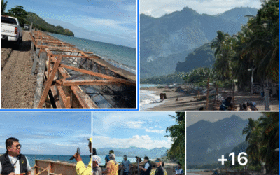 Malita, Davao Occidental — The Philippine Anti-Corruption Czar (PACC) has uncovered serious discrepancies and possible irregularities